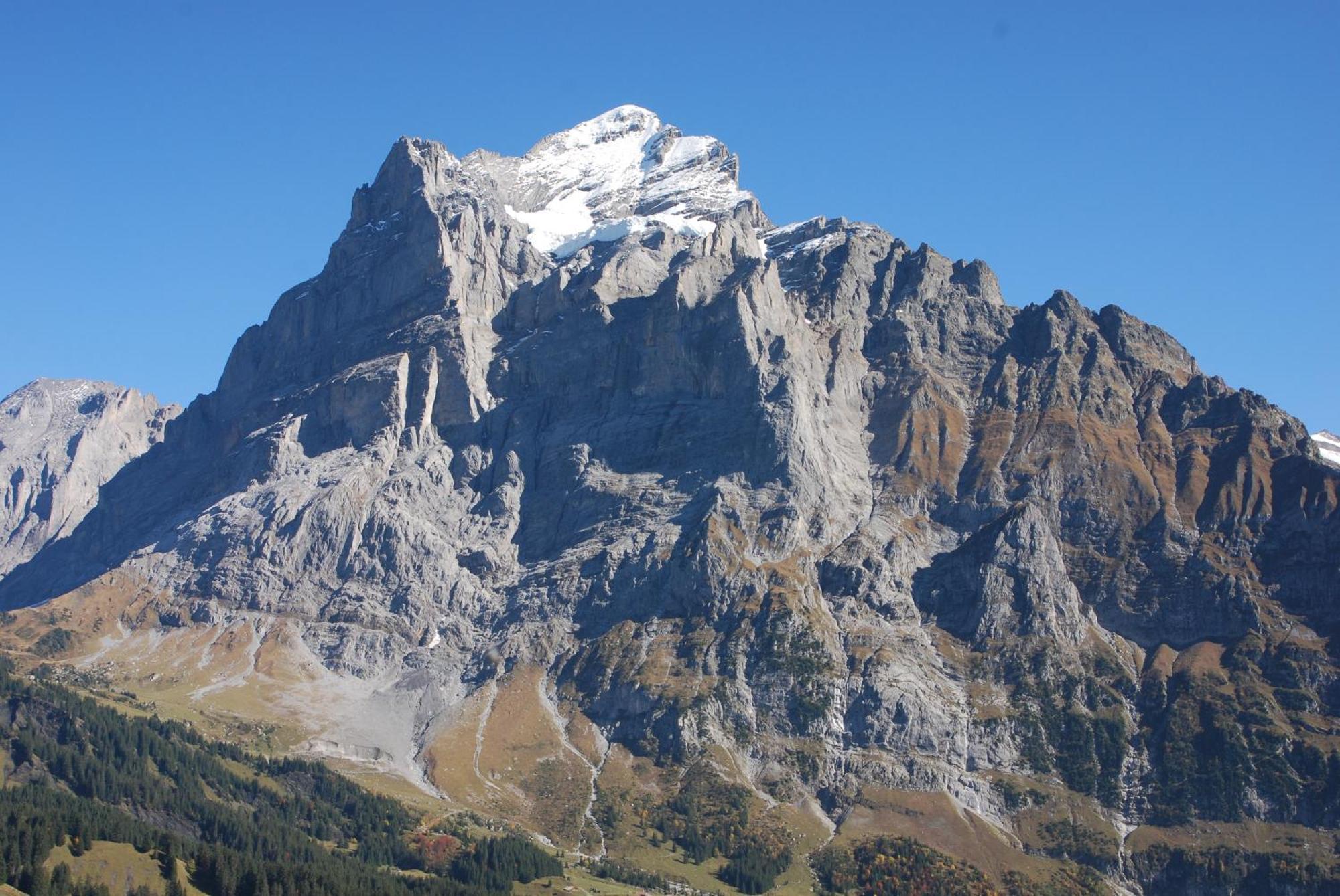 Hotel Bluemlisalp Grindelwald Exterior foto
